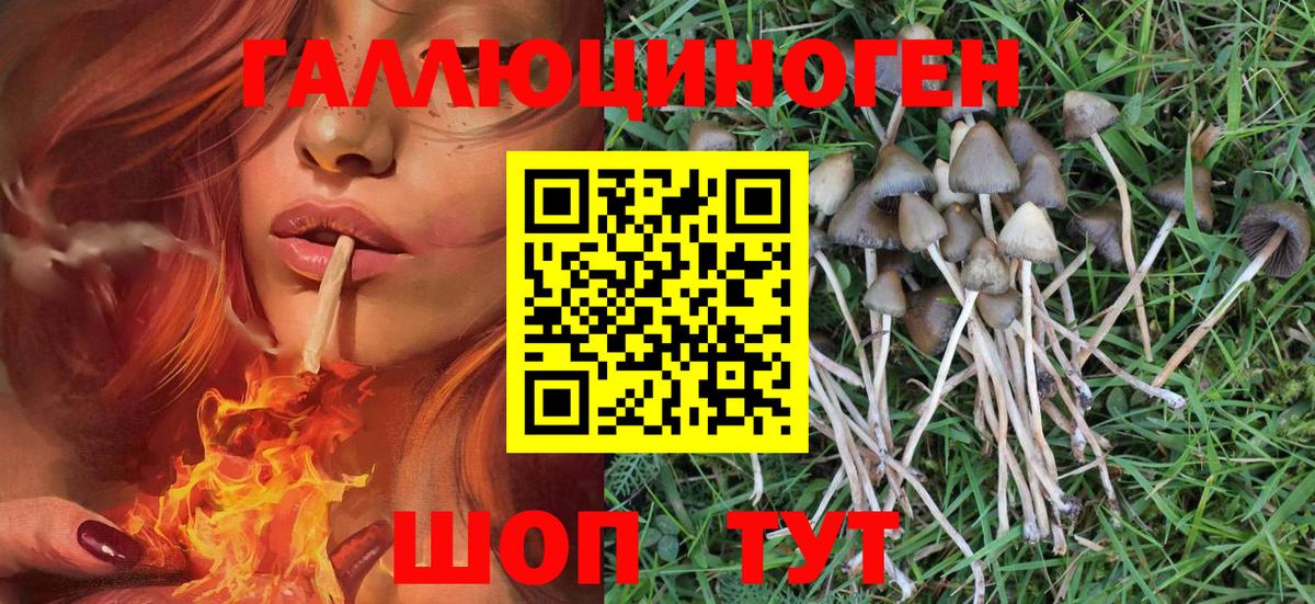 Электросталь  Галлюциногенные грибы MAGIC MUSHROOMS  Вход с VPN  Псилоцибиновые грибы ЛСД 